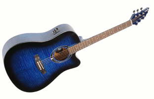 Flycat C100 TBL EQ